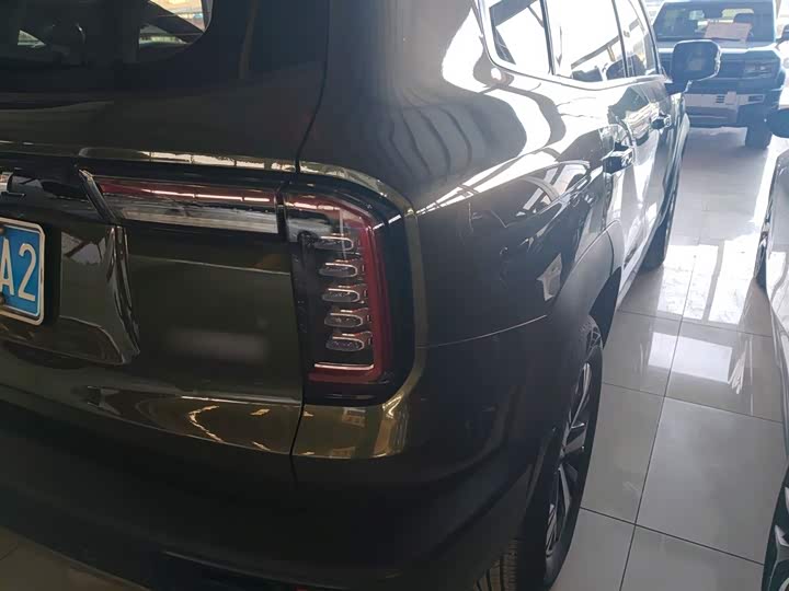 Фото 8 - Haval Dargo