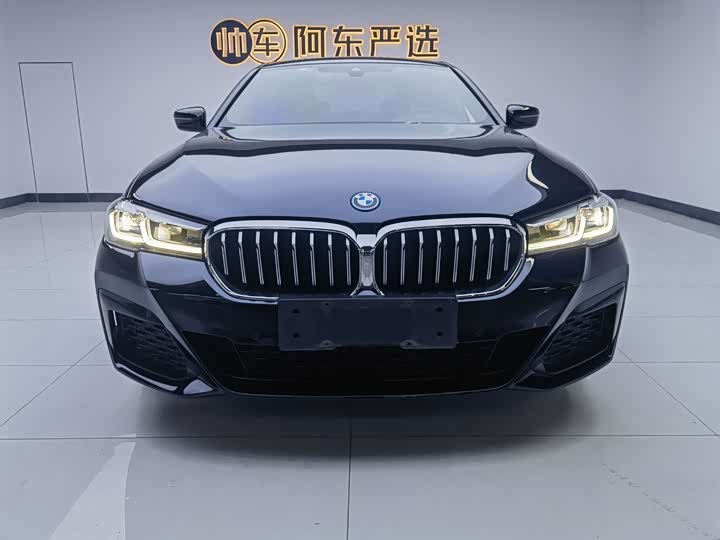 Фото 2 - BMW 5 Series Hybrid