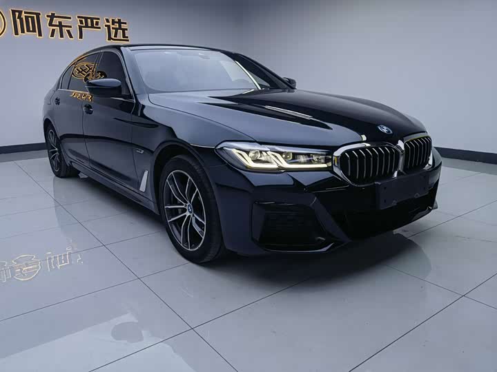 Фото 3 - BMW 5 Series Hybrid