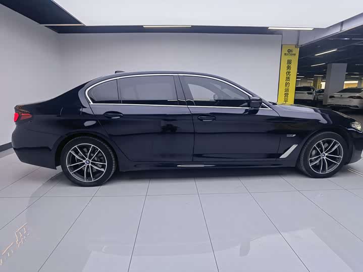 Фото 4 - BMW 5 Series Hybrid