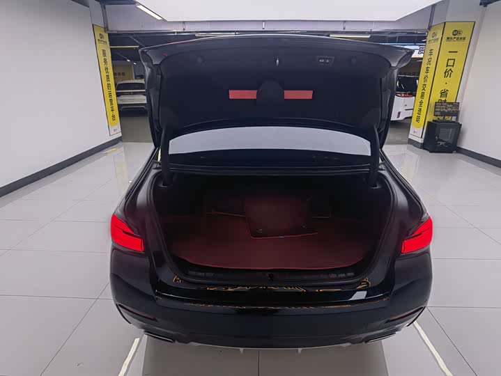 Фото 8 - BMW 5 Series Hybrid