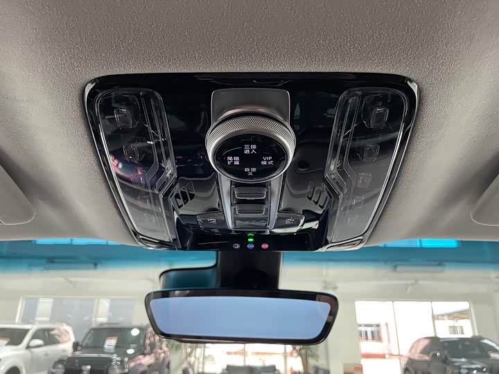 Фото 16 - Buick GL8 Century