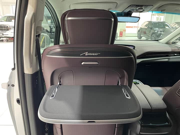 Фото 19 - Buick GL8 Century