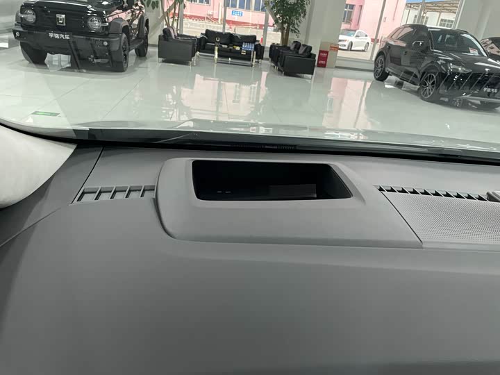 Фото 22 - Buick GL8 Century