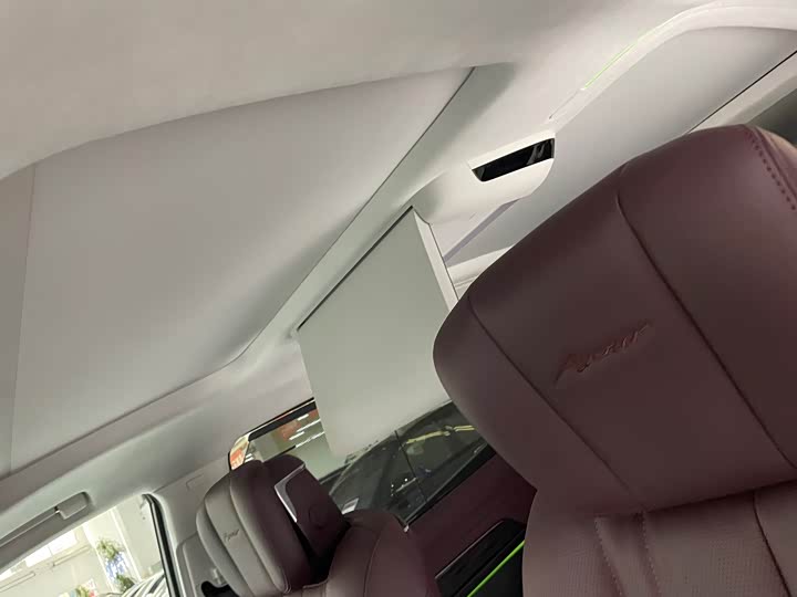 Фото 24 - Buick GL8 Century