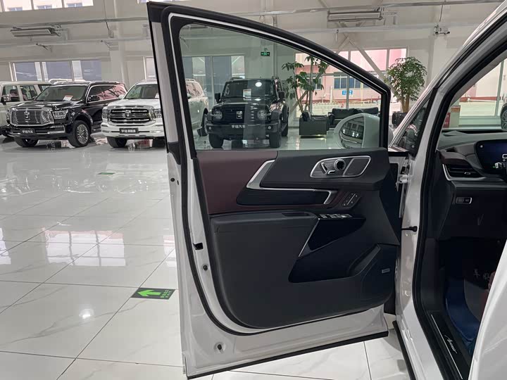 Фото 25 - Buick GL8 Century