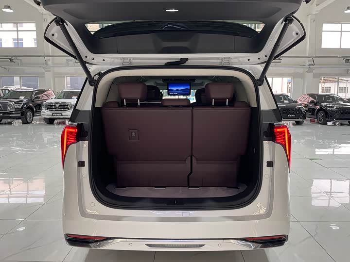 Фото 31 - Buick GL8 Century