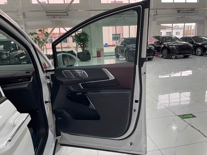 Фото 35 - Buick GL8 Century