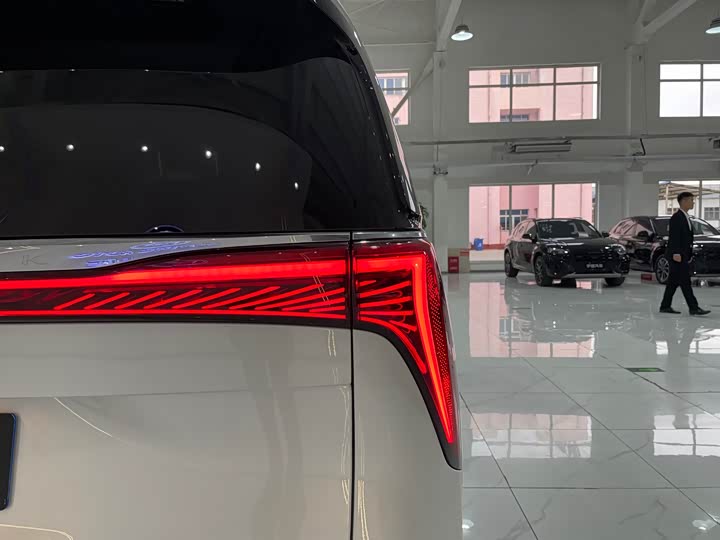 Фото 40 - Buick GL8 Century