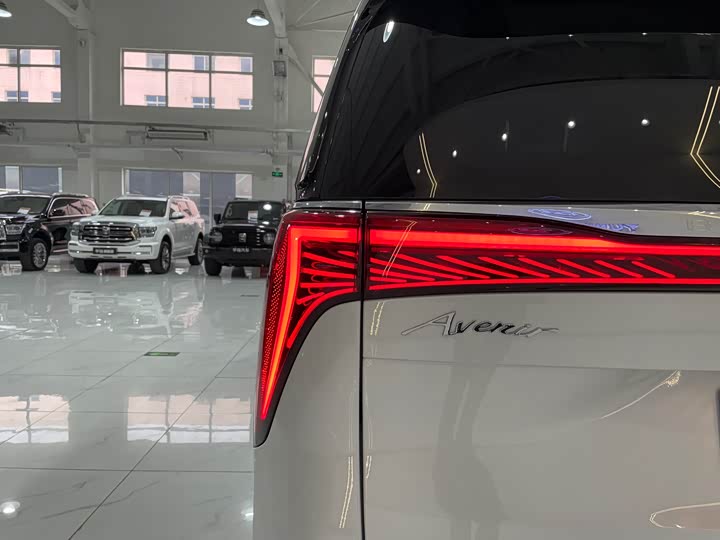 Фото 41 - Buick GL8 Century