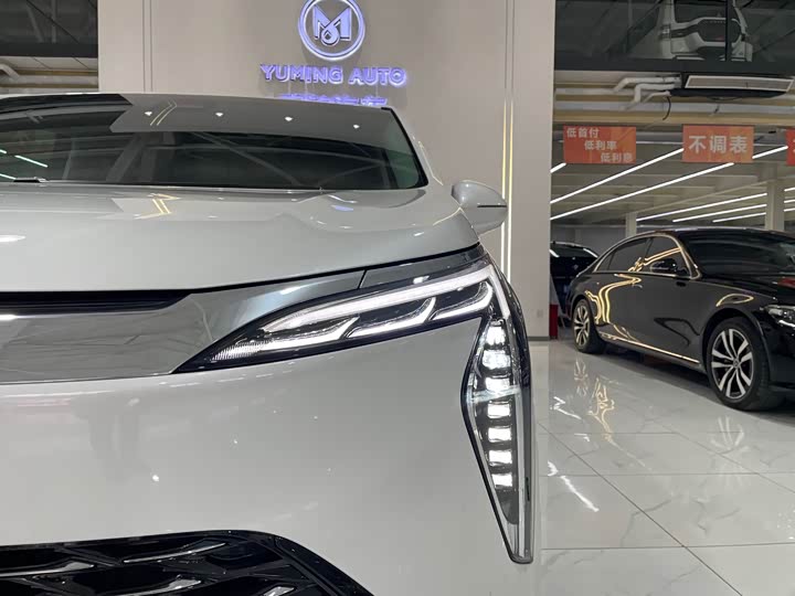 Фото 42 - Buick GL8 Century