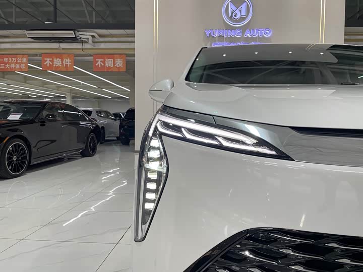 Фото 43 - Buick GL8 Century