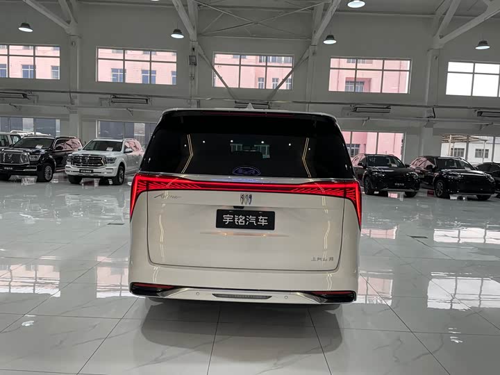 Фото 5 - Buick GL8 Century