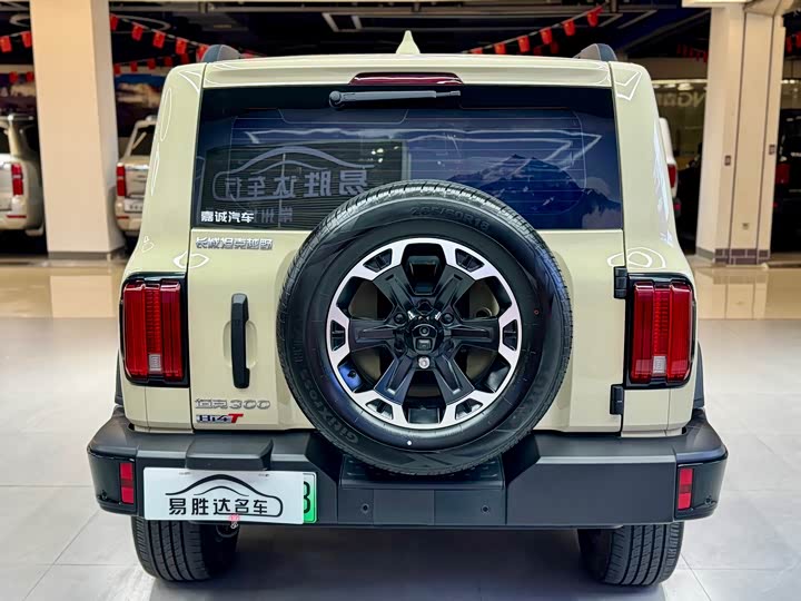 Фото 5 - Tank 300 Hybrid