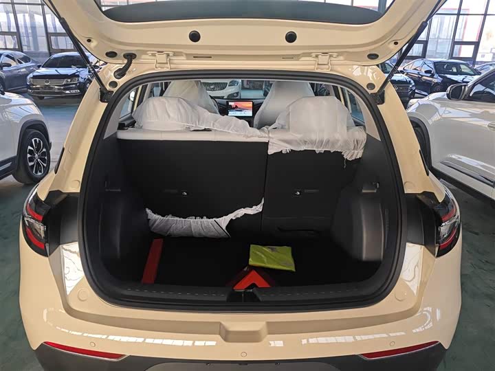 Фото 19 - Geely Galaxy Geome