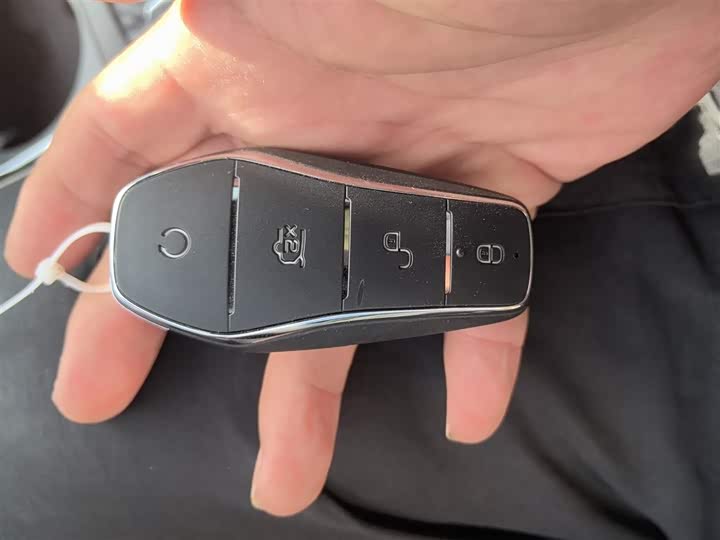 Фото 9 - BYD Qin Plus