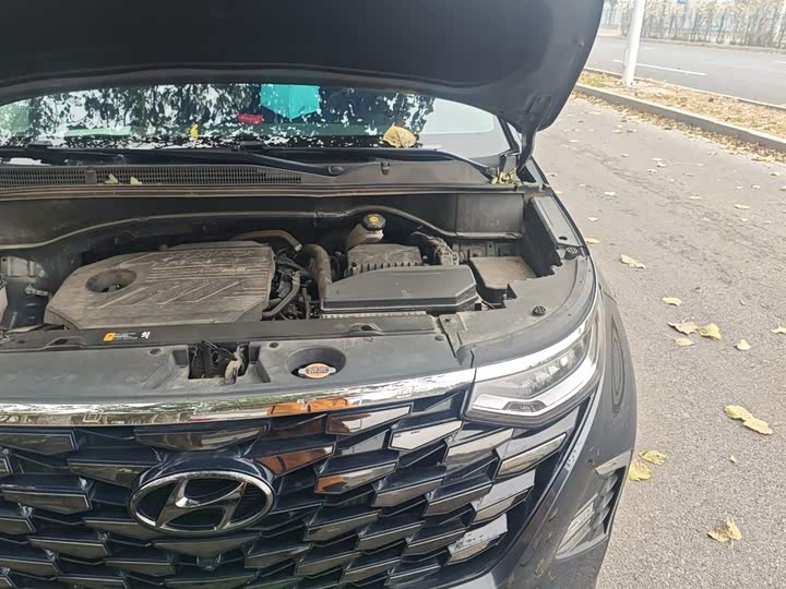 Фото 22 - Hyundai Custo