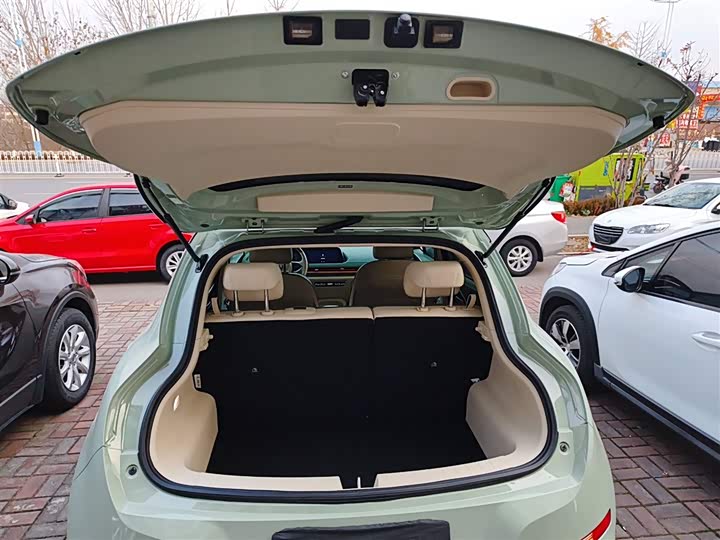 Фото 19 - Ora Good Cat (03)