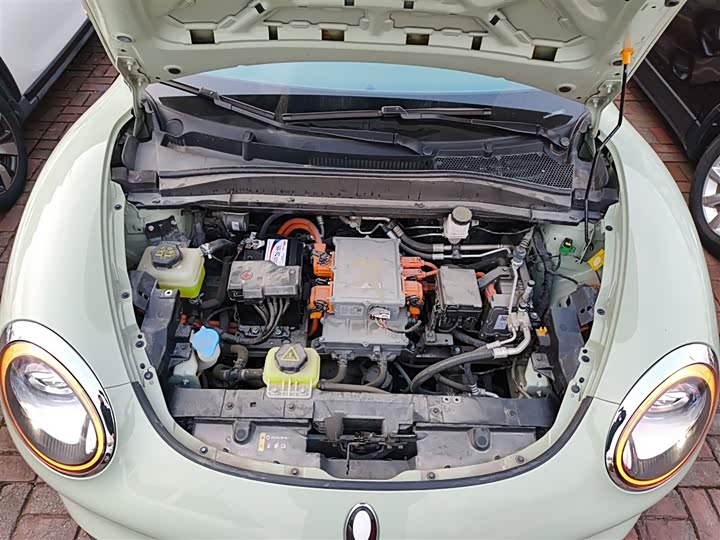 Фото 20 - Ora Good Cat (03)