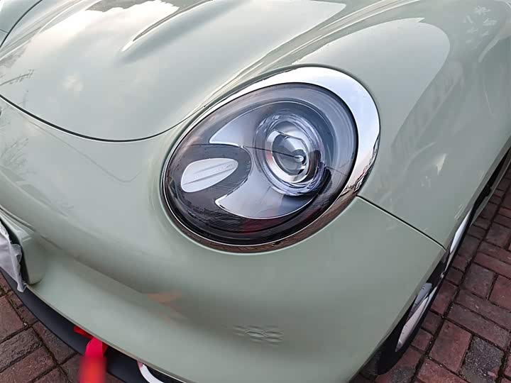 Фото 24 - Ora Good Cat (03)