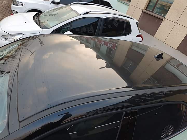 Фото 27 - Ora Good Cat (03)