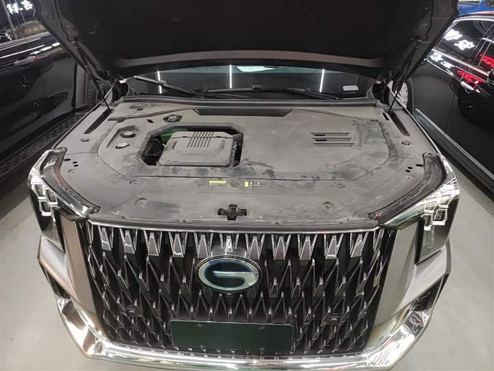 Фото 20 - GAC Trumpchi ES9