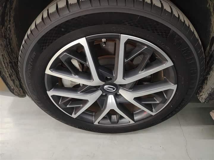 Фото 23 - GAC Trumpchi ES9