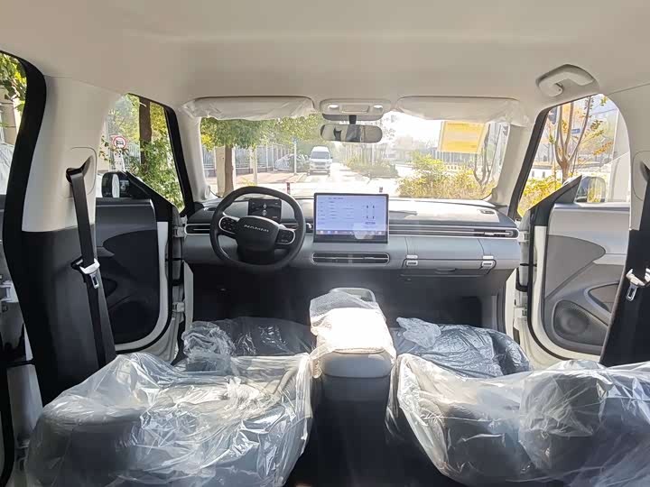 Фото 11 - Dongfeng Nammi 01