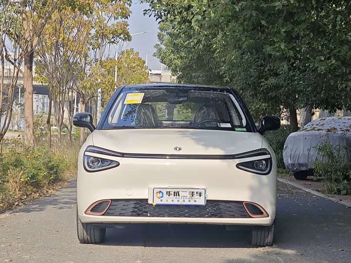 Фото 2 - Dongfeng Nammi 01