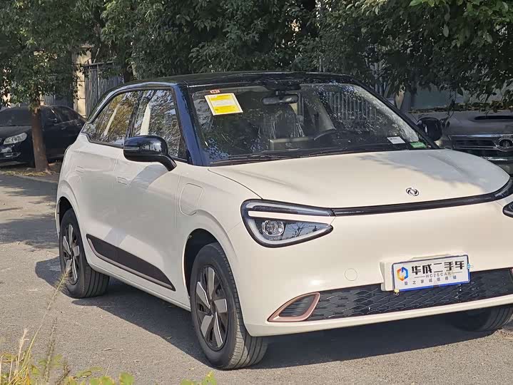 Фото 3 - Dongfeng Nammi 01