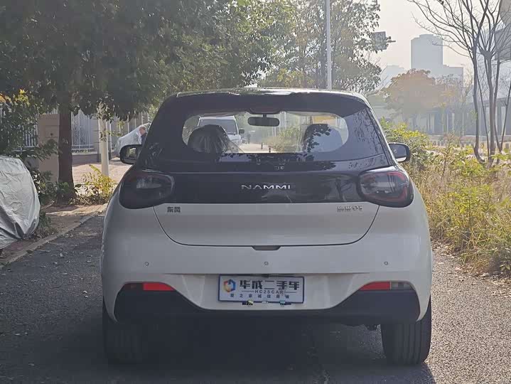 Фото 4 - Dongfeng Nammi 01