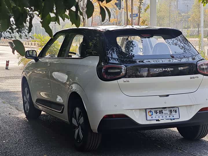 Фото 6 - Dongfeng Nammi 01