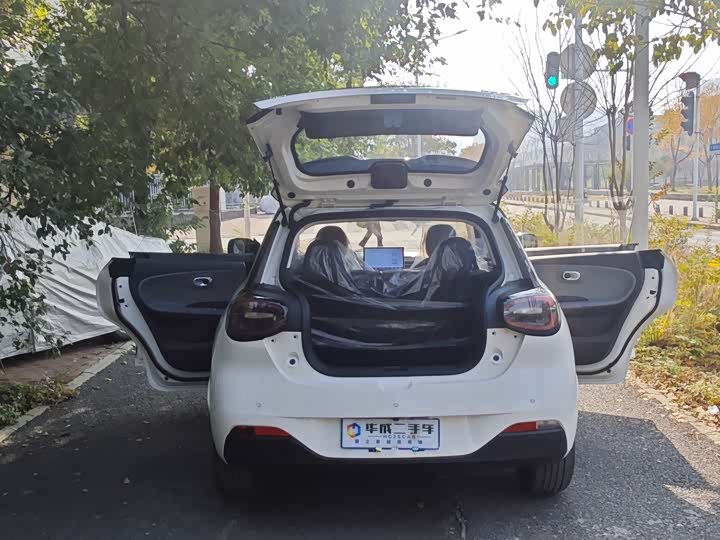 Фото 7 - Dongfeng Nammi 01