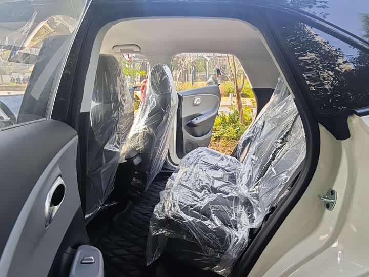 Фото 8 - Dongfeng Nammi 01