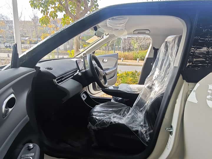 Фото 9 - Dongfeng Nammi 01