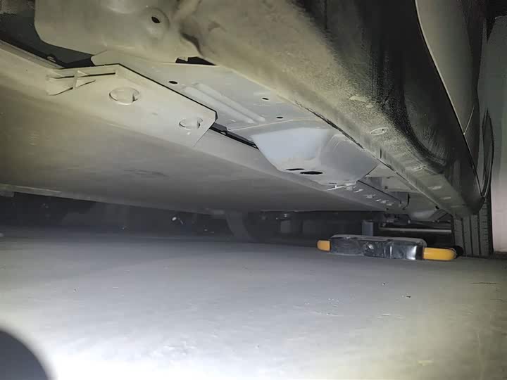 Фото 17 - Ora Black Cat