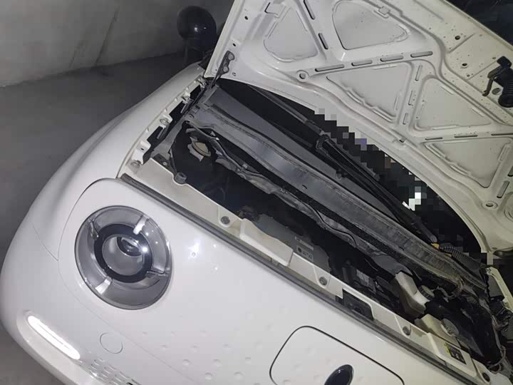 Фото 21 - Ora Black Cat