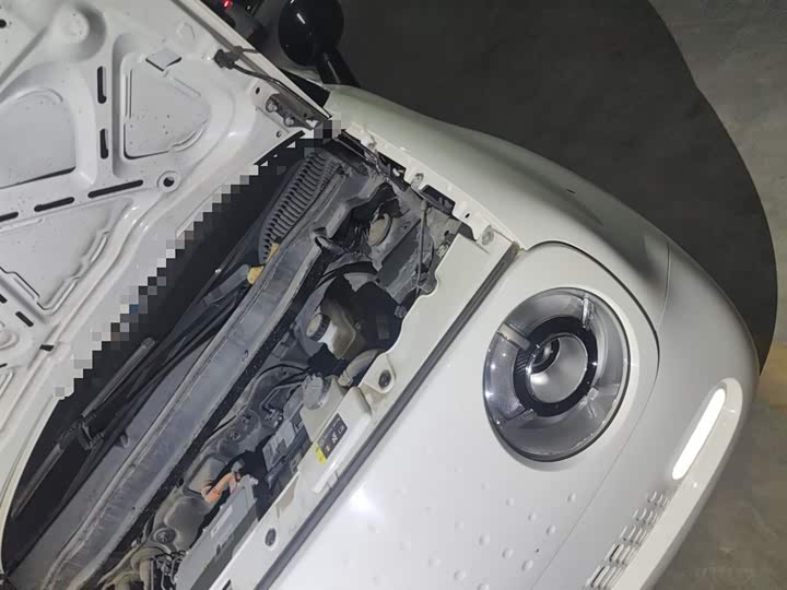 Фото 22 - Ora Black Cat