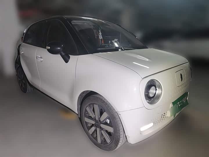 Фото 26 - Ora Black Cat