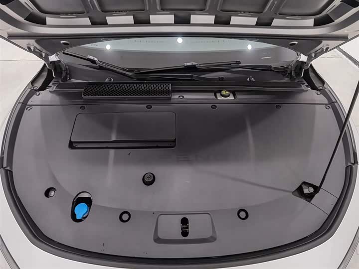 Фото 6 - XPeng F57