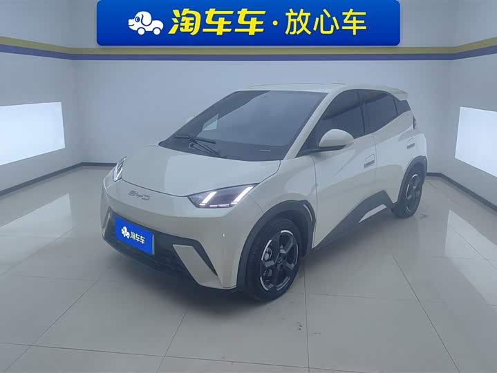 Фото 1 - BYD Seagull