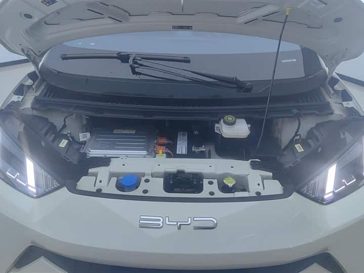 Фото 10 - BYD Seagull