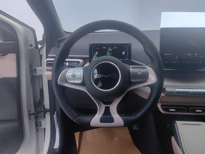 Фото 15 - BYD Seagull