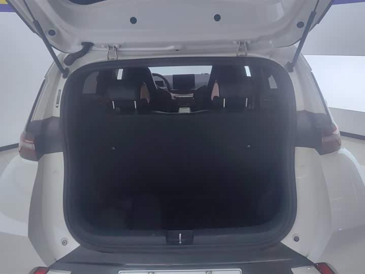 Фото 4 - BYD Seagull