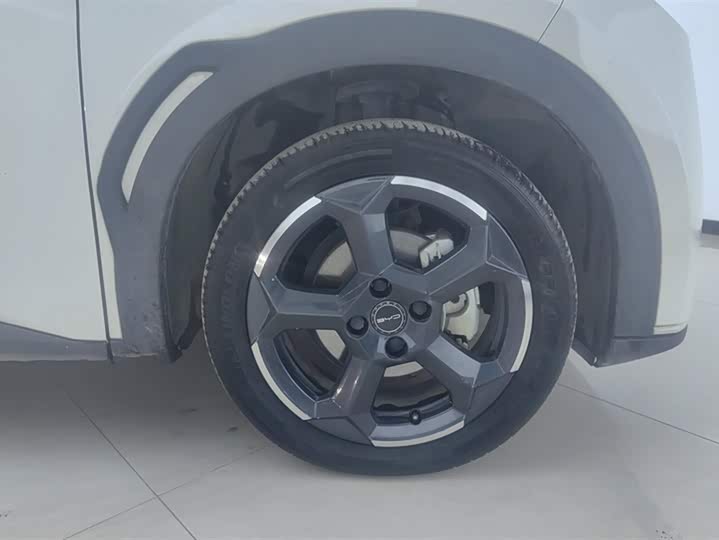 Фото 6 - BYD Seagull