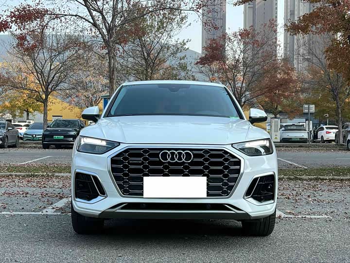Фото 3 - Audi Q5L