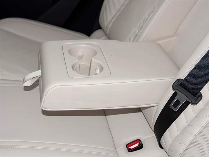 Фото 20 - BYD Qin L