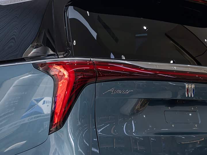 Фото 7 - Buick GL8 Century