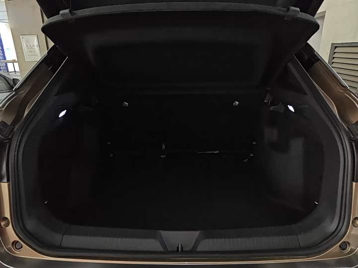 Фото 19 - Volkswagen ID.4 X