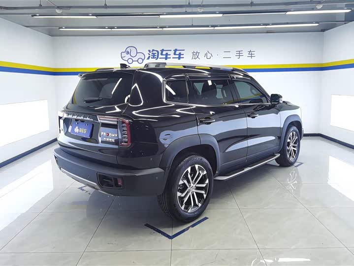 Фото 3 - Haval Dargo